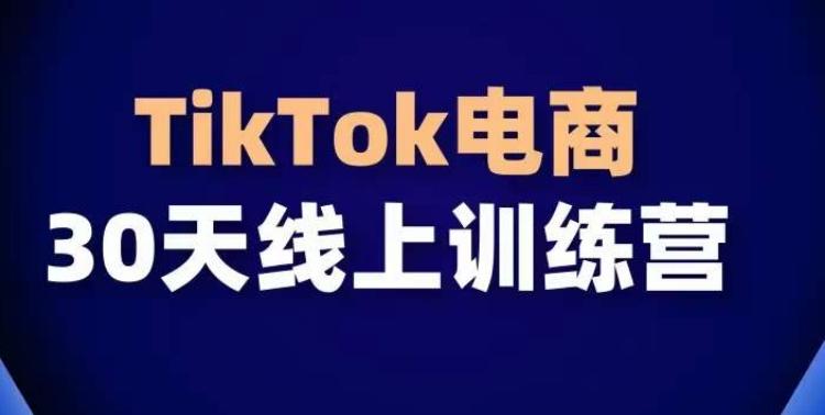 TikTok电商带货30天线上课，不可错过的全球流量洼地！-易读网
