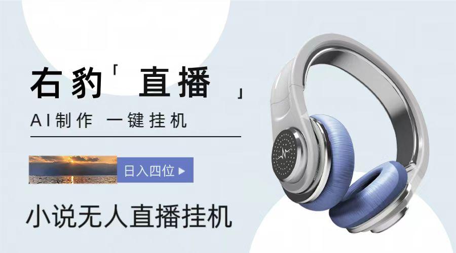 右豹小说无人直播挂机吸金项目，简单易行收益稳定， 月入1000+-易读网