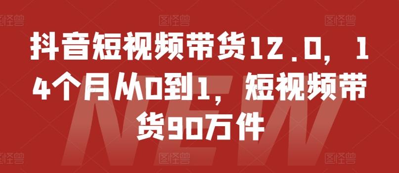 抖音短视频带货12.0，14个月从0到1，短视频带货90万件-易读网