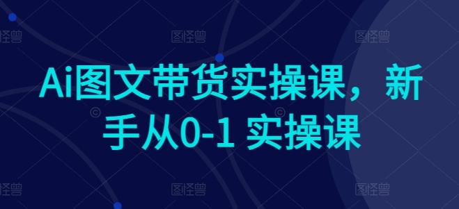 Ai图文带货实操课，新手从0-1 实操课-易读网