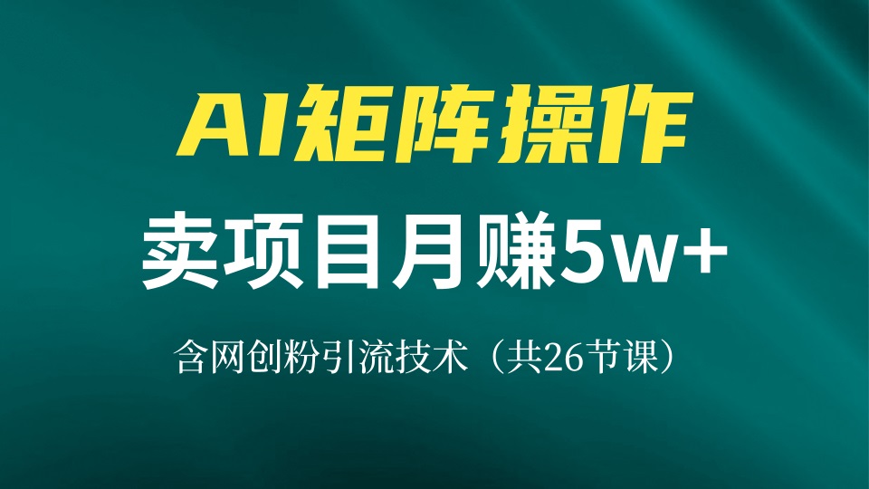 网创IP打造课，借助AI卖项目月赚5万+，含引流技术(共26节课-易读网