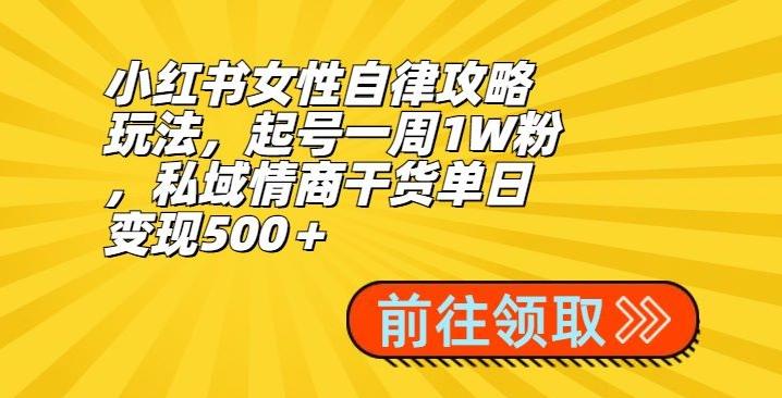 小红书女性自律攻略玩法，起号一周1W粉，私域情商干货单日变现500＋-易读网
