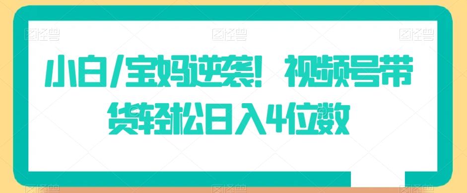 小白/宝妈逆袭！视频号带货轻松日入4位数【揭秘】-易读网