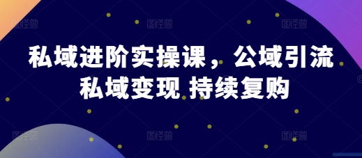 私域进阶实操课，公域引流 私域变现 持续复购-易读网