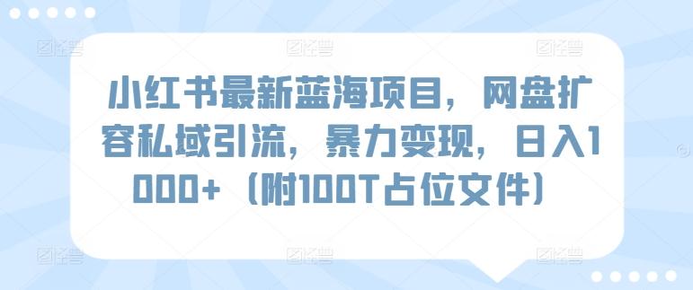 小红书最新蓝海项目，网盘扩容私域引流，暴力变现，日入1000+(附100T占位文件)【揭秘】-易读网