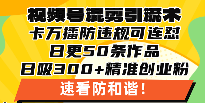 视频号混剪引流技术，500万播放引流17000创业粉，操作简单当天学会-易读网