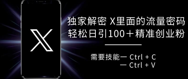 独家解密 X 里面的流量密码，复制粘贴轻松日引100+-易读网