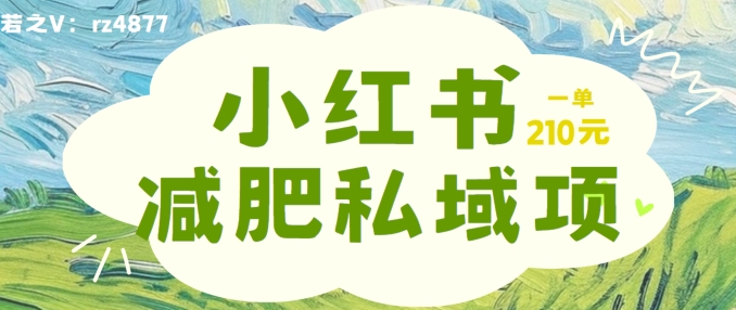 小红书减肥粉，私域变现项目，一单就达210元，小白也能轻松上手【揭秘】-易读网