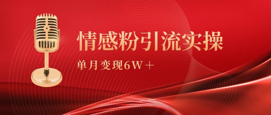 (9473期)单月变现6w+，情感粉引流变现实操课-易读网