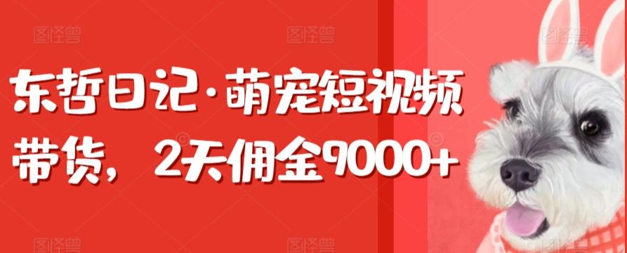东哲日记·萌宠短视频带货，2天佣金9000+-易读网