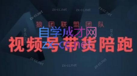 狼团联盟·2024视频号带货-易读网