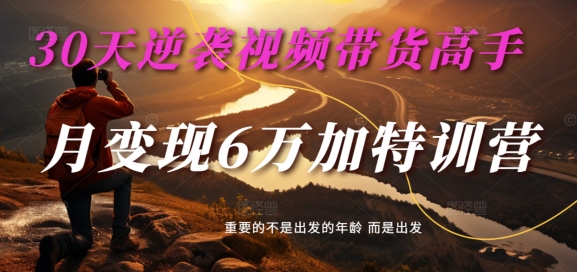 30天逆袭视频带货高手，单月变现6万加特训营-麦子甜-易读网