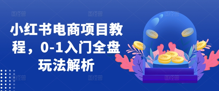 小红书电商项目教程，0-1入门全盘玩法解析-易读网