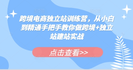 跨境电商独立站训练营，从小白到精通手把手教你做跨境+独立站建站实战-易读网