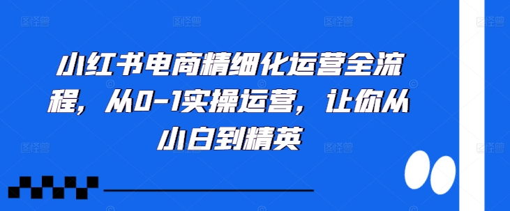 小红书电商精细化运营全流程，从0-1实操运营，让你从小白到精英-易读网