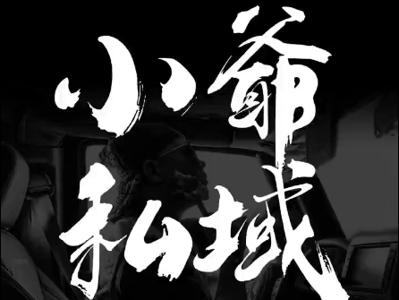 小爷·私域项目操盘手-易读网