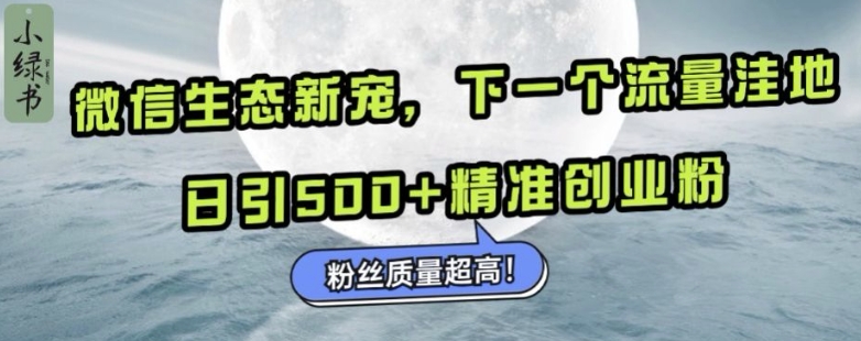 微信生态新宠小绿书：下一个流量洼地，日引500+精准创业粉，粉丝质量超高-易读网