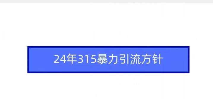 24年315暴力引流方针-易读网