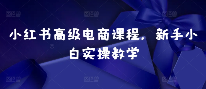 小红书高级电商课程，新手小白实操教学-易读网