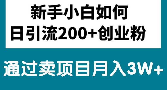 新手小白日引流200+创业粉,通过卖项目月入3W+-易读网