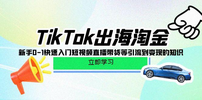 (10035期)TikTok-出海淘金，新手0-1快速入门短视频直播带货等引流到变现的知识-易读网