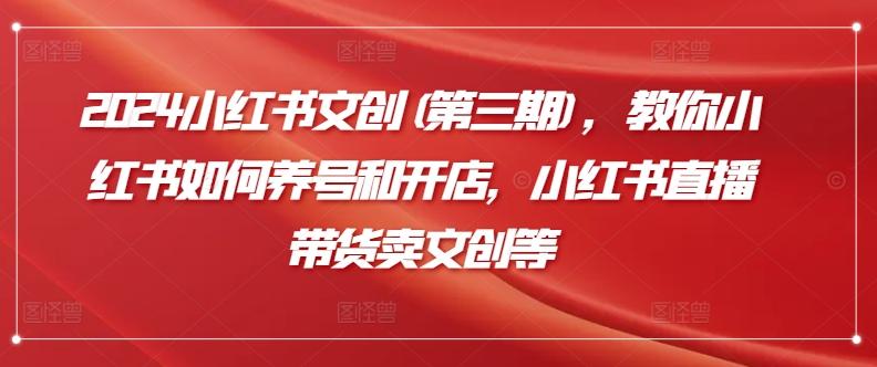 2024小红书文创(第三期)，教你小红书如何养号和开店，小红书直播带货卖文创等-易读网