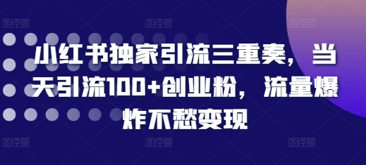 小红书独家引流三重奏，当天引流100+创业粉，流量爆炸不愁变现【揭秘】-易读网