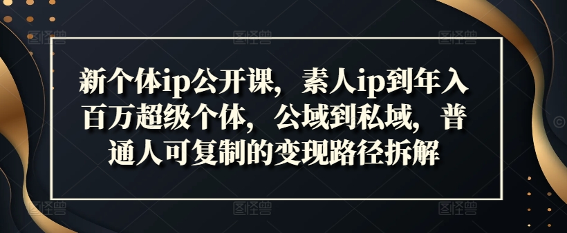 新个体ip公开课，素人ip到年入百万超级个体，公域到私域，普通人可复制的变现路径拆解-易读网