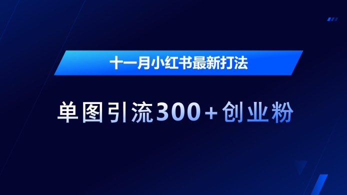 十一月小红书最新打法，单图引流300+创业粉【揭秘】-易读网