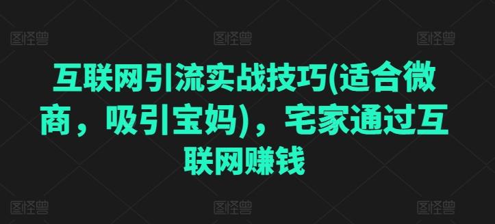 互联网引流实战技巧(适合微商，吸引宝妈)，宅家通过互联网赚钱-易读网