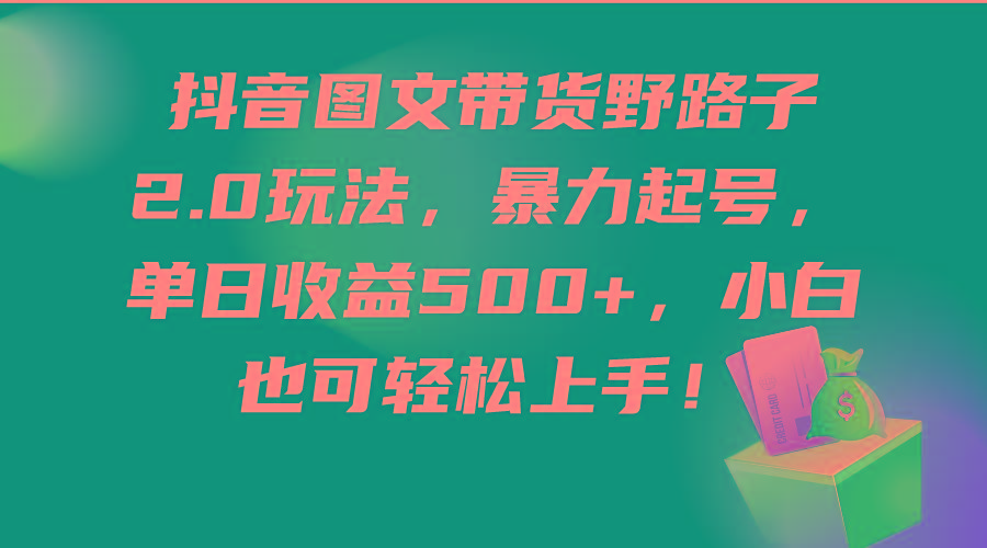 (9790期)抖音图文带货野路子2.0玩法，暴力起号，单日收益500+，小白也可轻松上手！-易读网