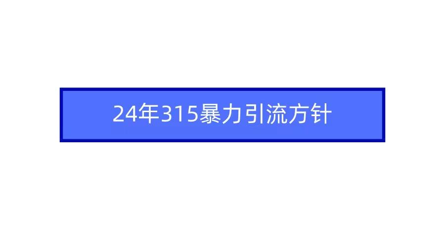 (9398期)2024年315暴力引流方针-易读网