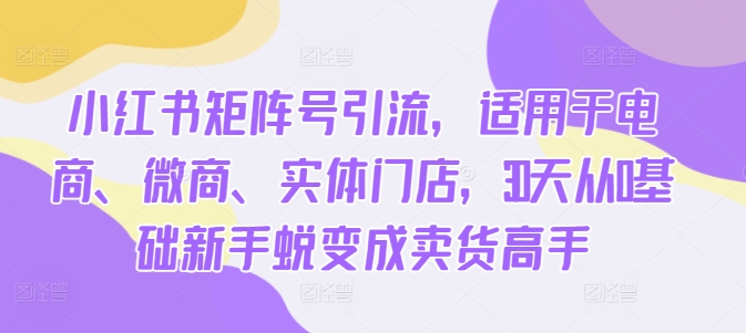 小红书矩阵号引流，适用于电商、微商、实体门店，30天从0基础新手蜕变成卖货高手-易读网
