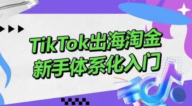 TikTok出海淘金，新手体系化入门，零基础快速入门，掌握短视频、直播带货等引流到变现的知识-易读网