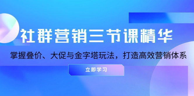 社群营销三节课精华：掌握叠价、大促与金字塔玩法，打造高效营销体系-易读网